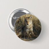 Badge Rond 5 Cm R15 Coyote Couché (Devant & derrière)