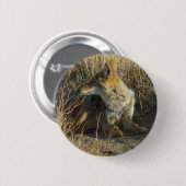 Badge Rond 5 Cm R16 Grattage de Coyote (Devant & derrière)