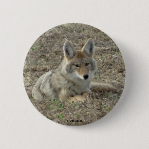 Badge Rond 5 Cm R22 Coyote Couché