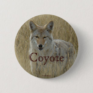 Badge Rond 5 Cm R2 Coyote en herbe haute