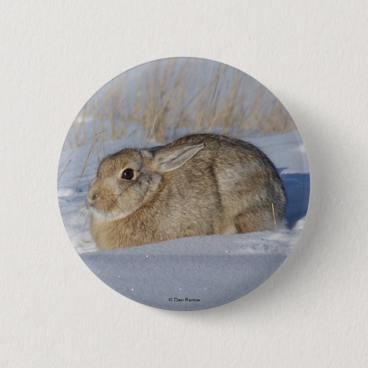 Badge Rond 5 Cm R5 Lapin de coton en neige (Devant)