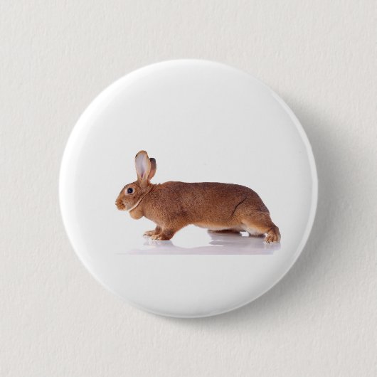 Badge Rond 5 Cm rabbit (Devant)