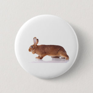 Badge Rond 5 Cm rabbit