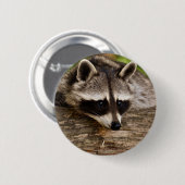 Badge Rond 5 Cm Raccoon mignon reposant sur un journal (Devant & derrière)