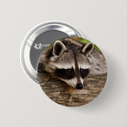 Badge Rond 5 Cm Raccoon mignon reposant sur un journal (Devant & derrière)