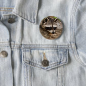 Badge Rond 5 Cm Raccoon mignon reposant sur un journal (En situation)
