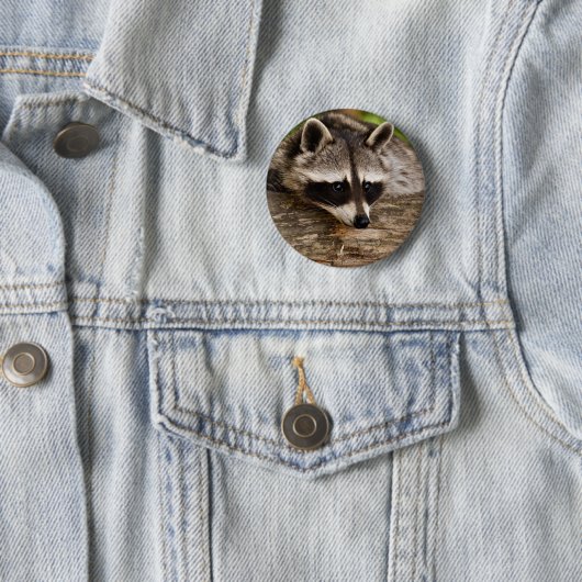 Badge Rond 5 Cm Raccoon mignon reposant sur un journal (En situation)