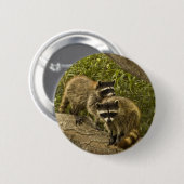 Badge Rond 5 Cm Raccoons (Devant & derrière)