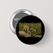 Badge Rond 5 Cm Raccoons (Devant & derrière)