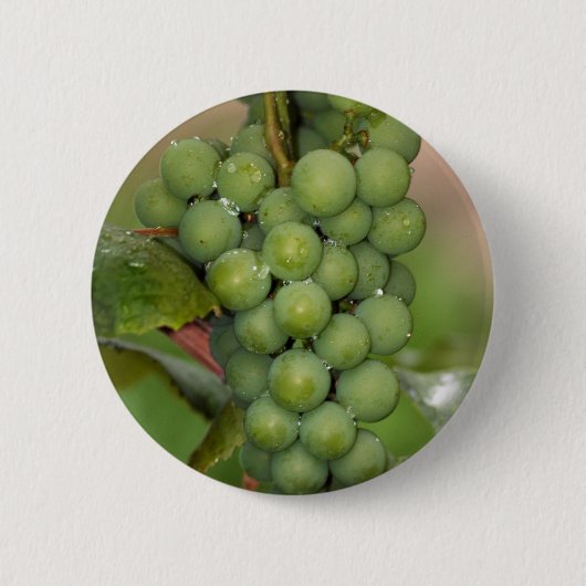 Badge Rond 5 Cm Raisins de Sénèque (Devant)