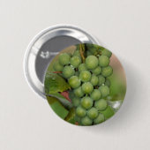 Badge Rond 5 Cm Raisins de Sénèque (Devant & derrière)
