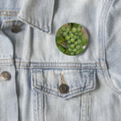 Badge Rond 5 Cm Raisins de Sénèque (En situation)