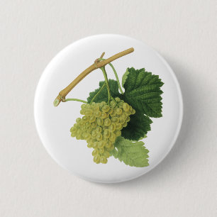 Badge Rond 5 Cm Raisins de vin blanc sur la vigne, fruits alimenta