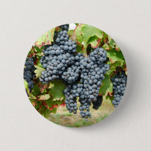 Badge Rond 5 Cm Raisins de vin français