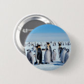 Badge Rond 5 Cm Rassemblement de pingouin (Devant & derrière)