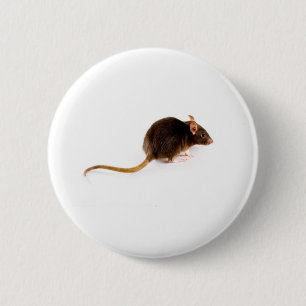 Badge Rond 5 Cm Rat Brown
