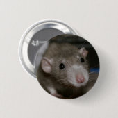 Badge Rond 5 Cm Rat curieux (Devant & derrière)
