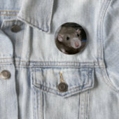 Badge Rond 5 Cm Rat curieux (En situation)