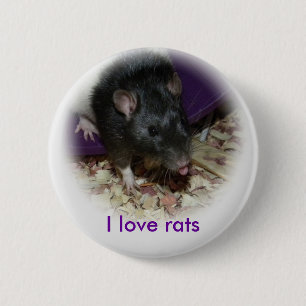 Badge Rond 5 Cm Rat mignon collant sa goupille de langue