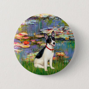 Badge Rond 5 Cm Rat Terrier - Lys 2