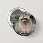 Badge Rond 5 Cm Raton laveur (Devant & derrière)