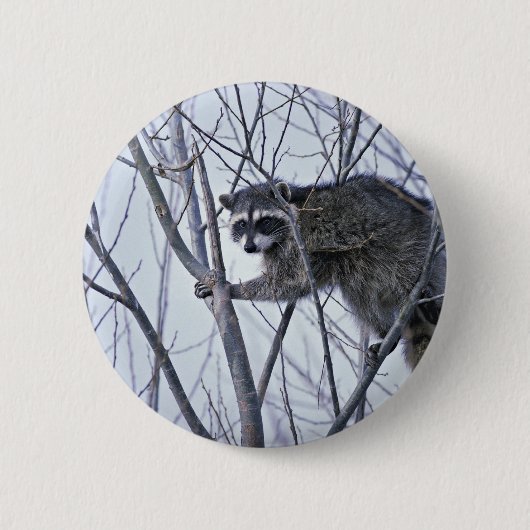 Badge Rond 5 Cm Raton laveur (Devant)
