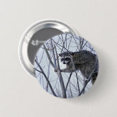 Badge Rond 5 Cm Raton laveur (Devant & derrière)