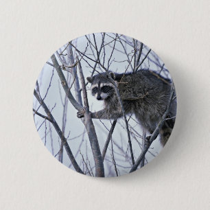 Badge Rond 5 Cm Raton laveur