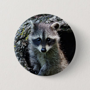 Badge Rond 5 Cm Raton laveur dans le repaire