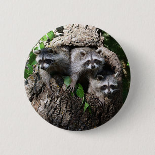 Badge Rond 5 Cm Raton laveur - les trois amis