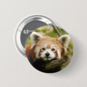 Badge Rond 5 Cm red-chinese-panda10x10 (Devant & derrière)