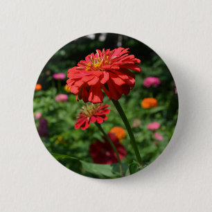 Badge Rond 5 Cm red orange daisy floral, red flower garden