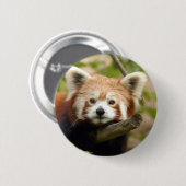 Badge Rond 5 Cm red-panda-007 (Devant & derrière)