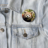 Badge Rond 5 Cm red-panda-007 (En situation)