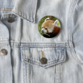 Badge Rond 5 Cm red-panda-031 (En situation)