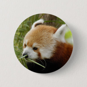 Badge Rond 5 Cm red-panda-031