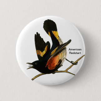 Badge Rond 5 Cm Redémarrage américain par John James Audubon, Bird
