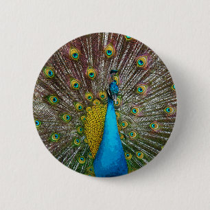 Badge Rond 5 Cm Regal Peacock Bird avec Turquoise et Gold Plumage