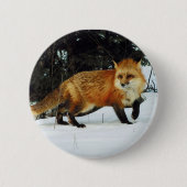 Badge Rond 5 Cm Renard (Devant)