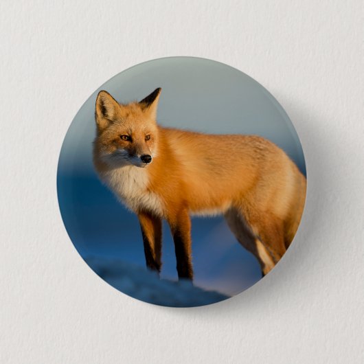 Badge Rond 5 Cm Renard Brown (Devant)