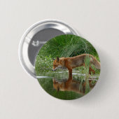 Badge Rond 5 Cm Renard dans l'étang (Devant & derrière)