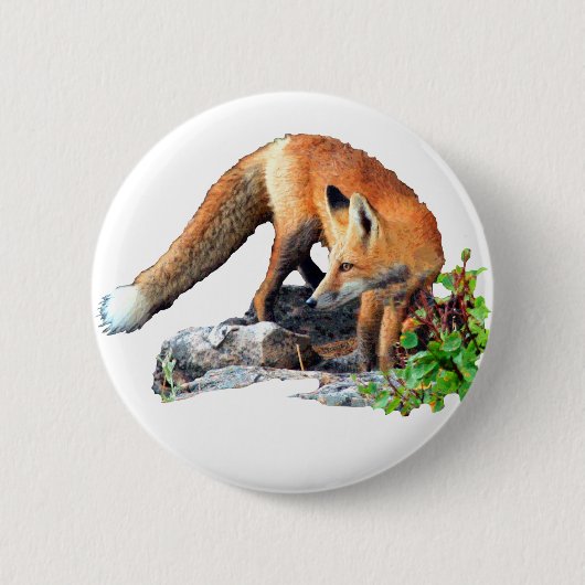 Badge Rond 5 Cm Renard rouge (Devant)