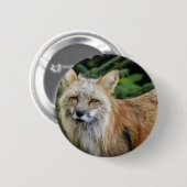 Badge Rond 5 Cm Renard sauvage (Devant & derrière)