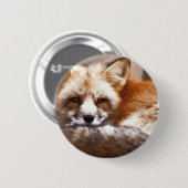Badge Rond 5 Cm Renards (Devant & derrière)