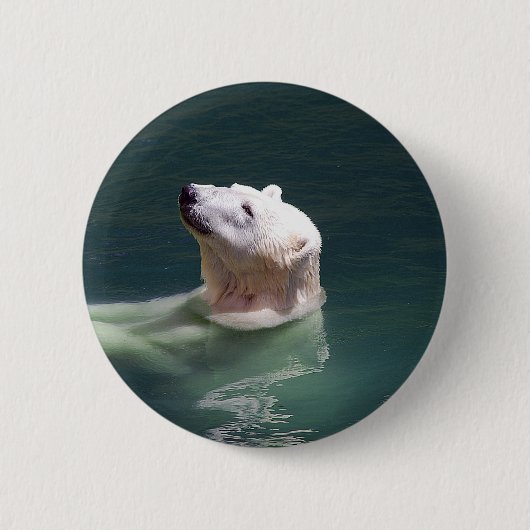 Badge Rond 5 Cm Repose d'ours polaire (Devant)