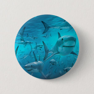 Badge Rond 5 Cm Requins