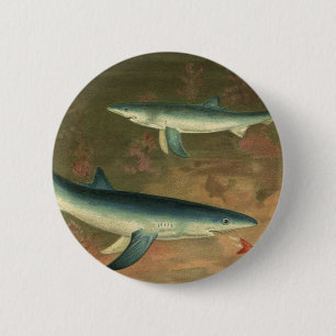 Badge Rond 5 Cm Requins Bleus Mangeant des Poissons, Vie Maritime 
