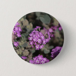Badge Rond 5 Cm Réserve faunique de la Vallée de la Coachella pour