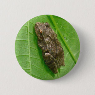 Badge Rond 5 Cm Ressort Peeper (Pseudacris crucifer) Treefrog Item