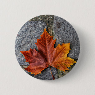 Badge Rond 5 Cm "Retour à l'automne"
